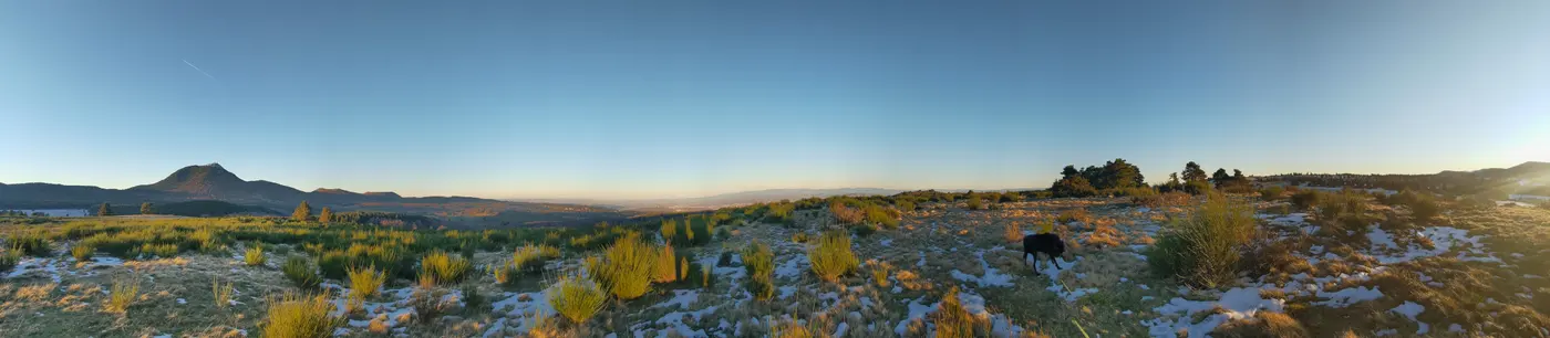 Panorama of the same plateau at nightfall, a black dog among the frozen tufts, the hills lined up to the horizon and a sky still blue.
