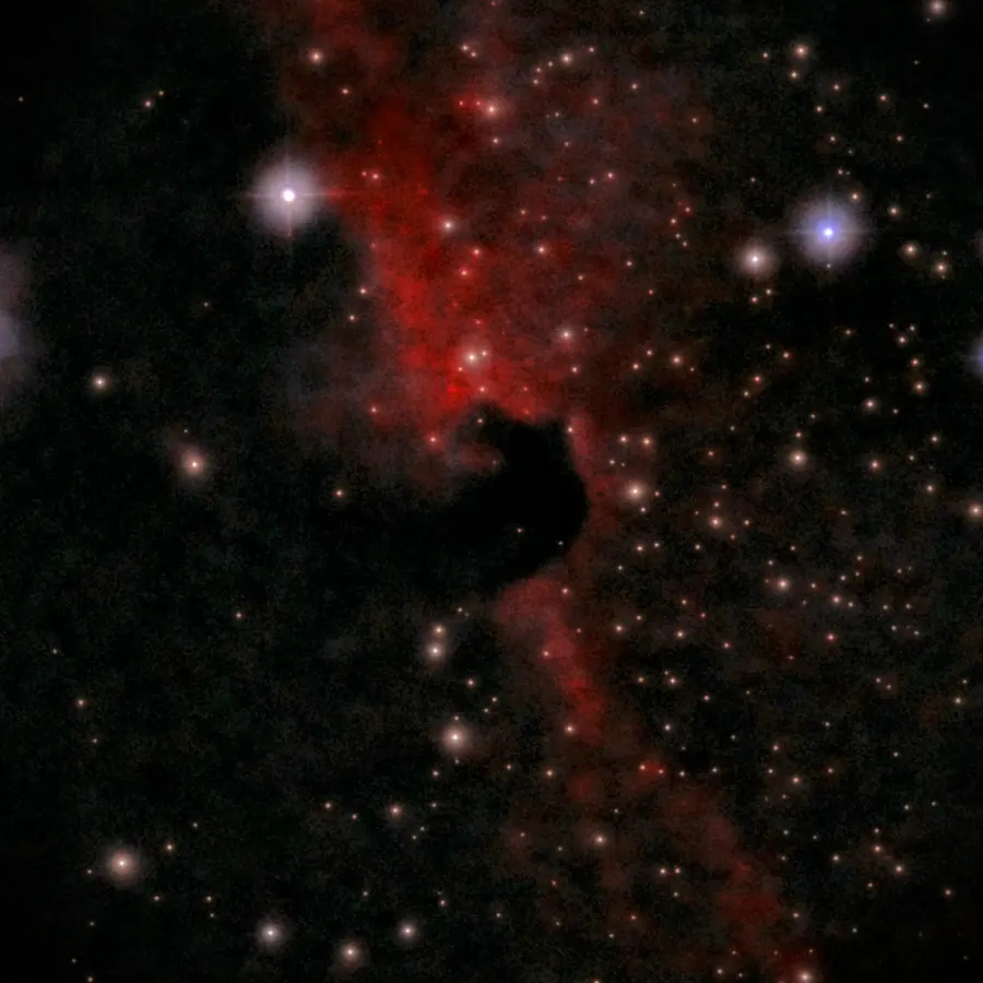 IC 434, Nébuleuse de la Tête de Cheval, in the constellation Orion