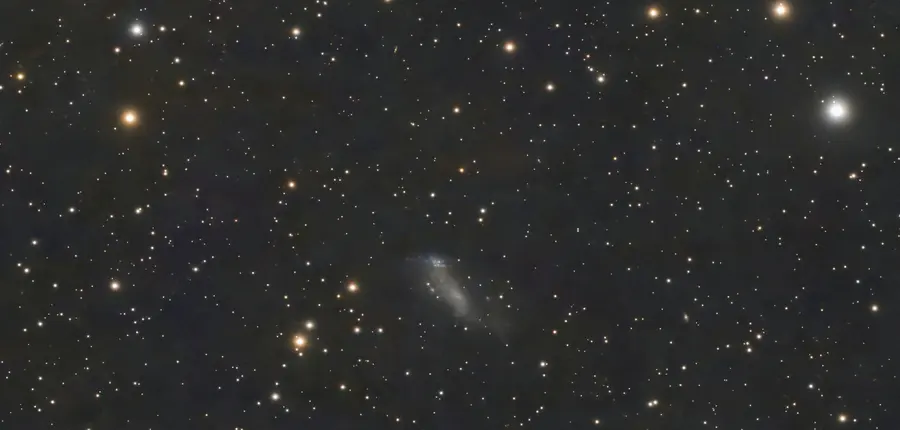 IC 2574, Nébuleuse de Coddington, in the constellation Ursa Major