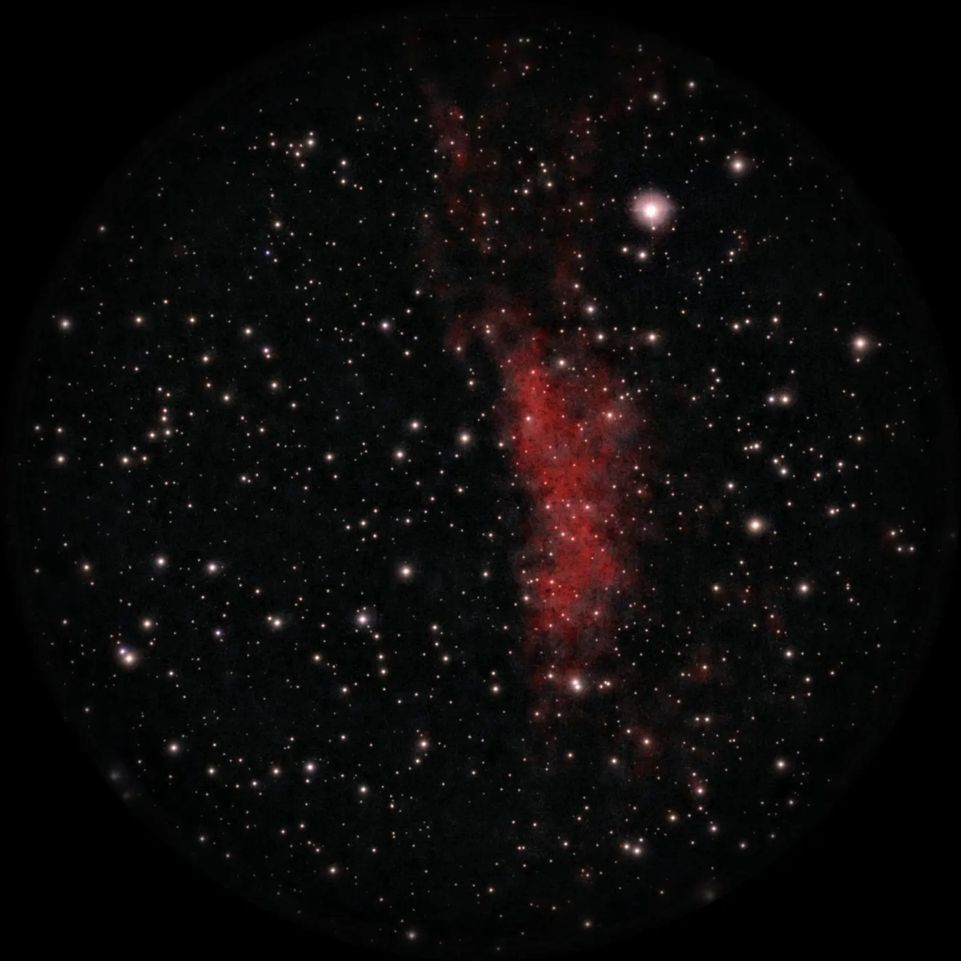 Nébuleuse Californie, prise du 04/11/2024, 10 min de pose