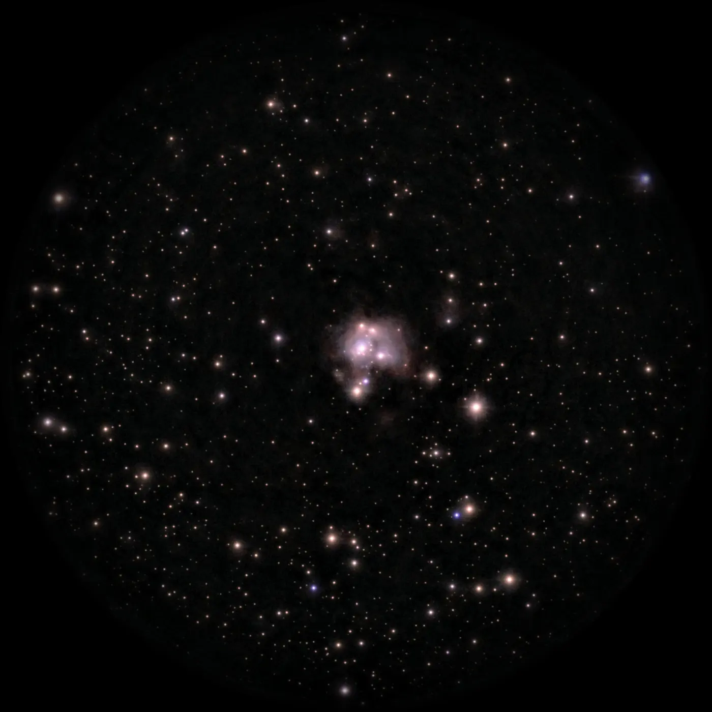 NGC 7129, Amas et nébuleuse par réflexion, dans la constellation Céphée