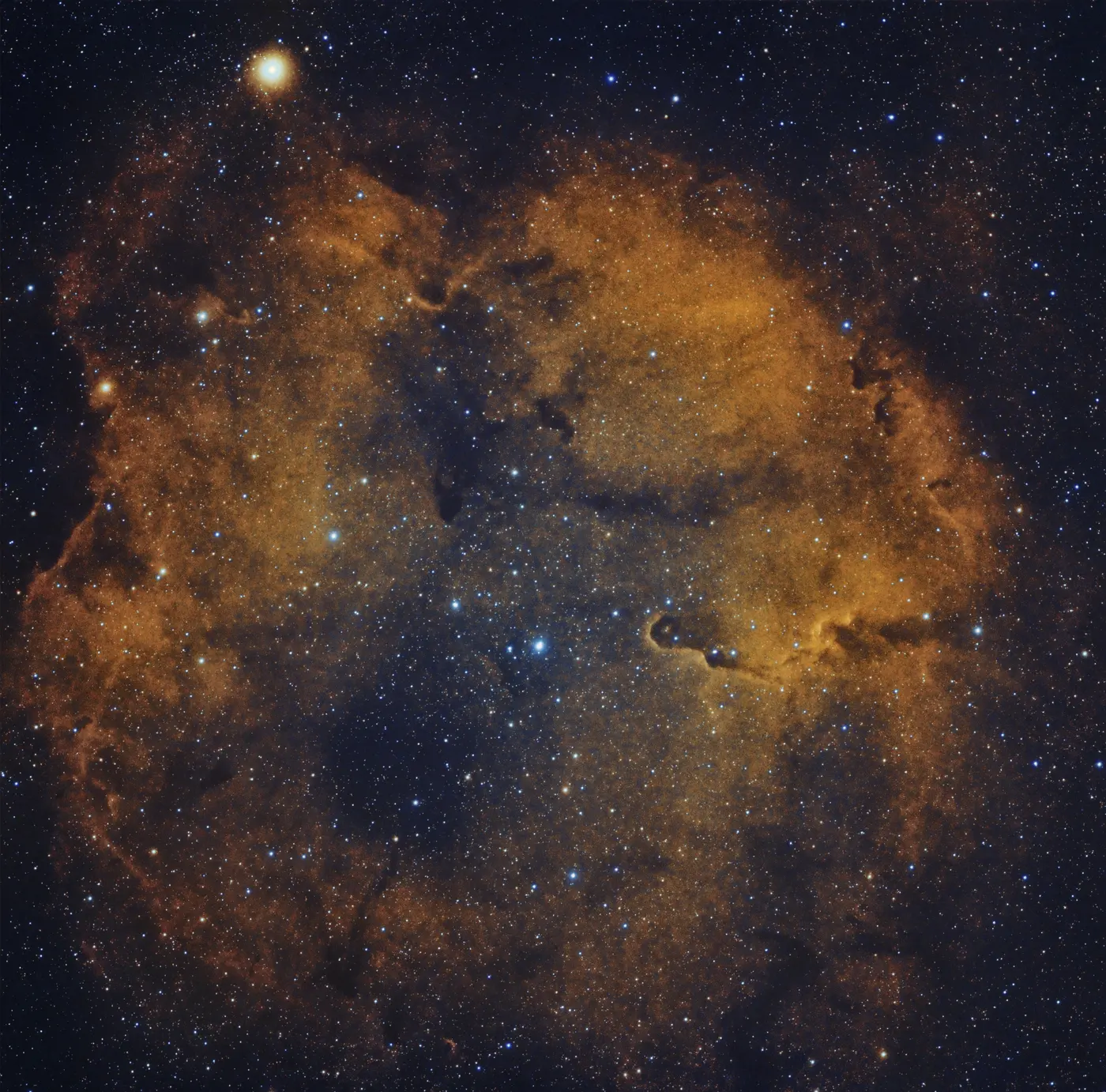 IC 1396, Nébuleuse de la Trompe d'Éléphant, dans la constellation Céphée